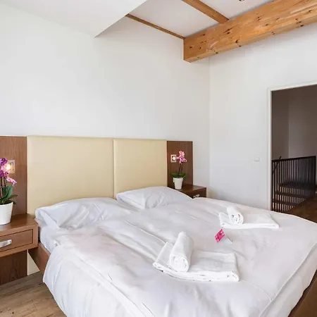 Emma Apartments- Self- Check -in Piesendorf